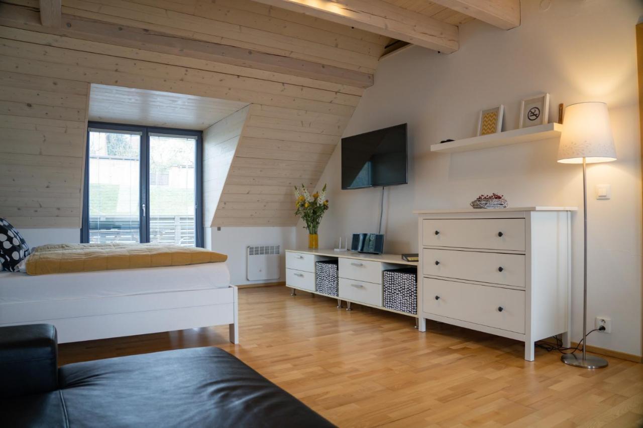 Stylovy Apartman C. 8 U Venuse, Pavlov U Mikulova Ngoại thất bức ảnh